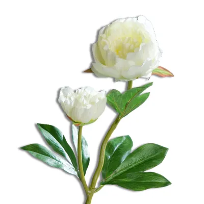 Kunstblume