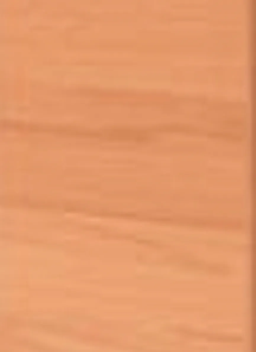 Garderobenleiste material_farbe