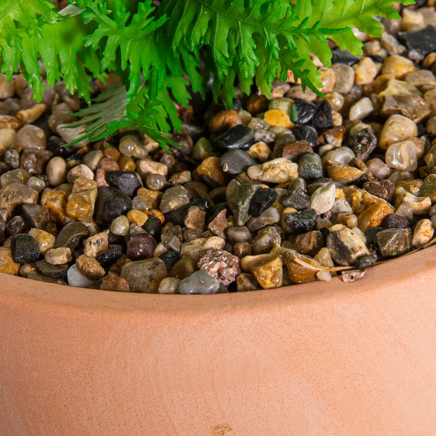 Farn grün detail
