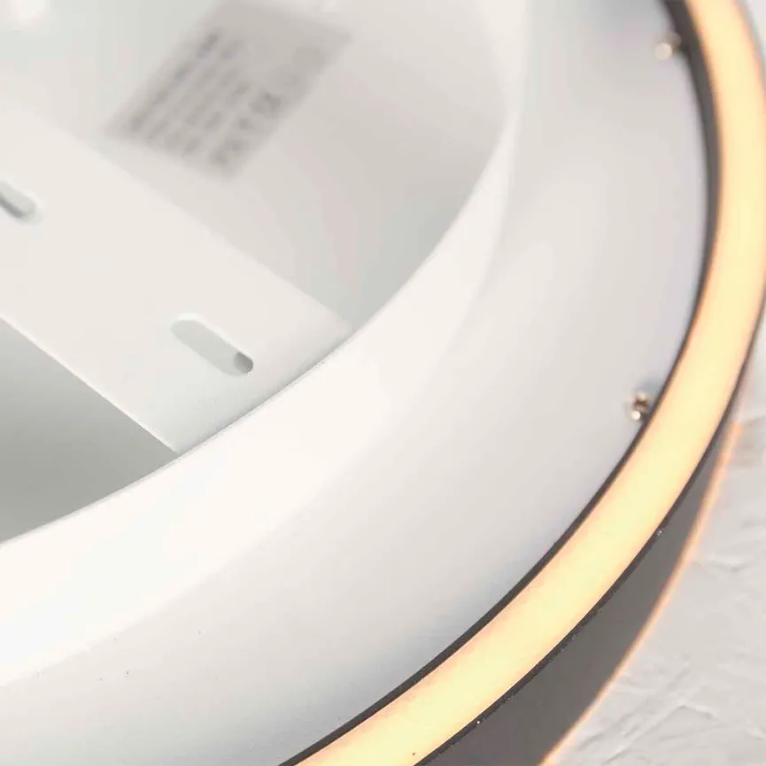 Deckenleuchte "Ringlux" detail