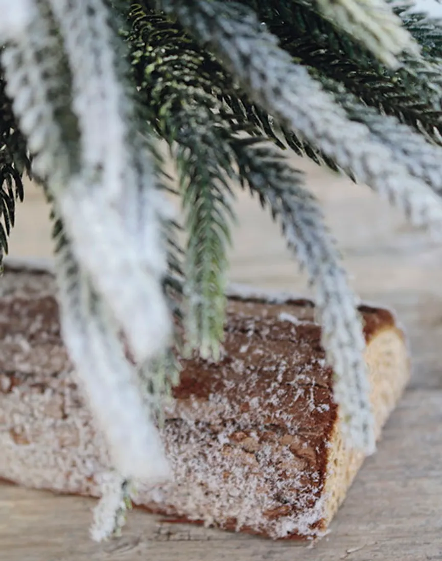 Tannbaum mit Schnee detail