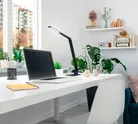 milieu