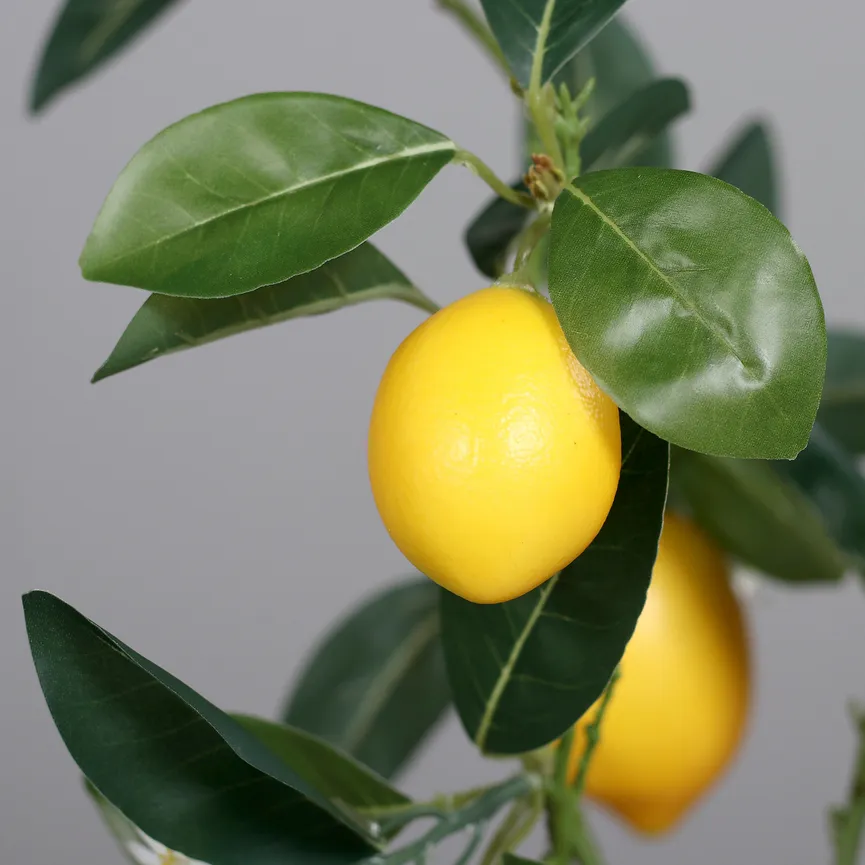 Premium Zitronen-Arrangement detail