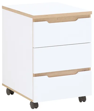Rollcontainer