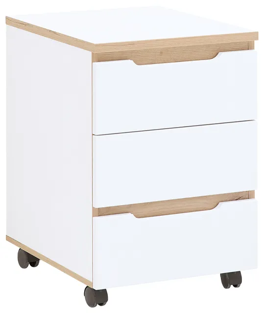 Rollcontainer