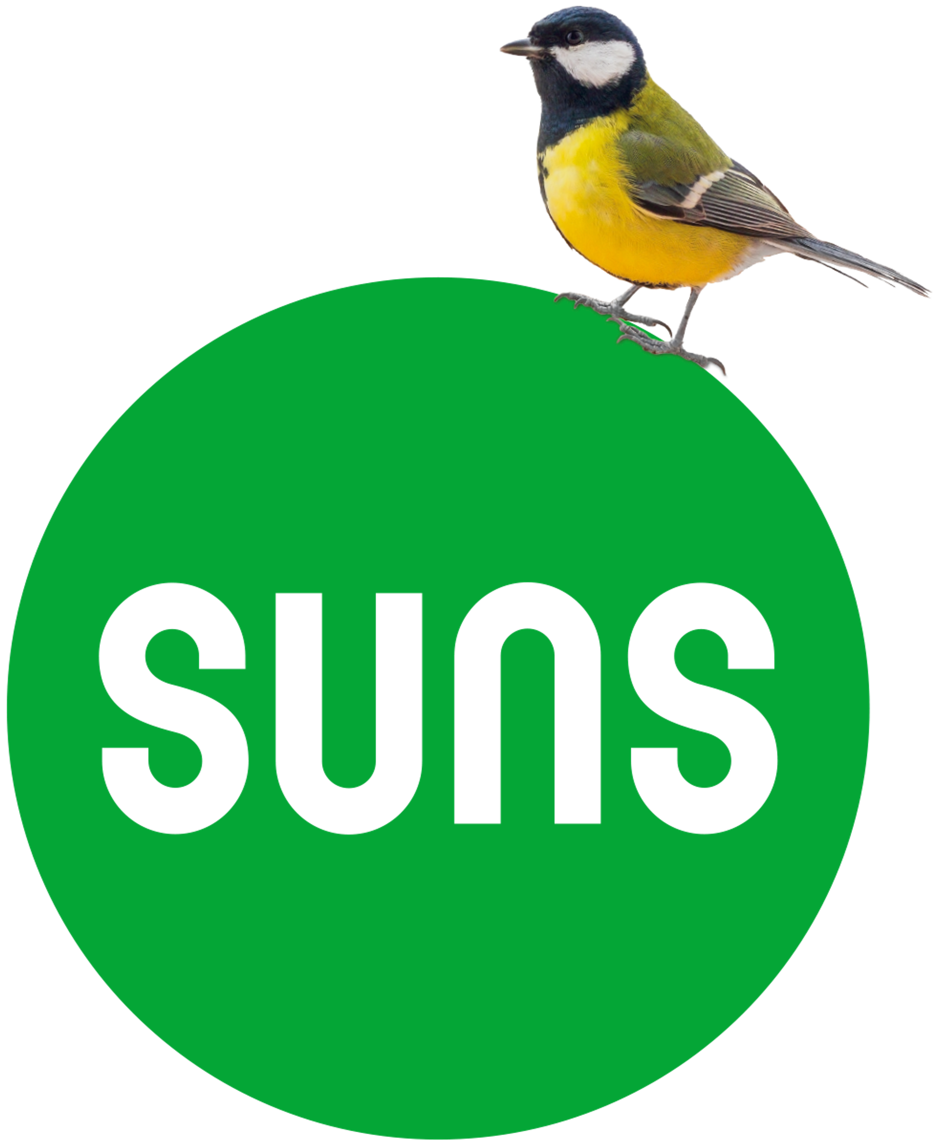 suns