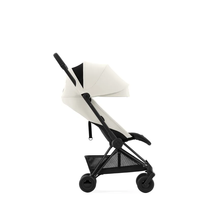 Buggy Coya detail