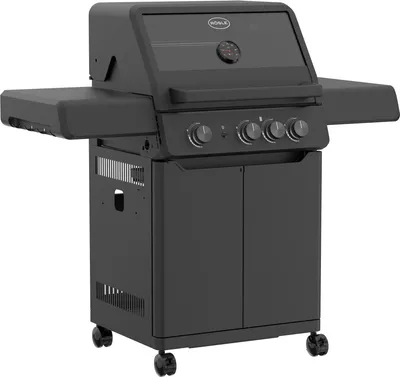 Gasgrill