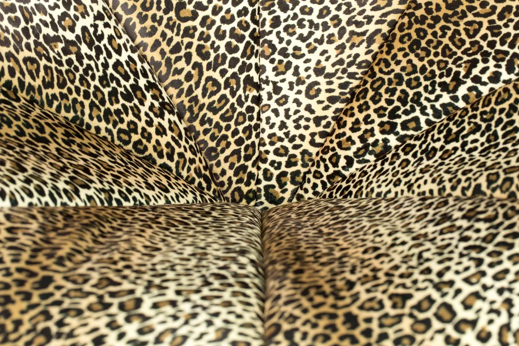 detail