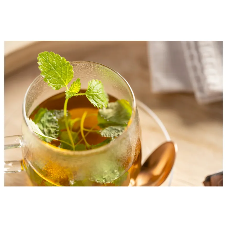 Teebecher "Té per te" 450 ml milieu