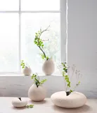 milieu