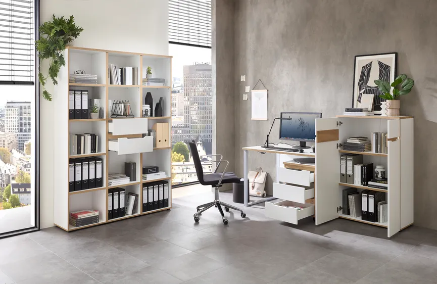 Büroschrank milieu