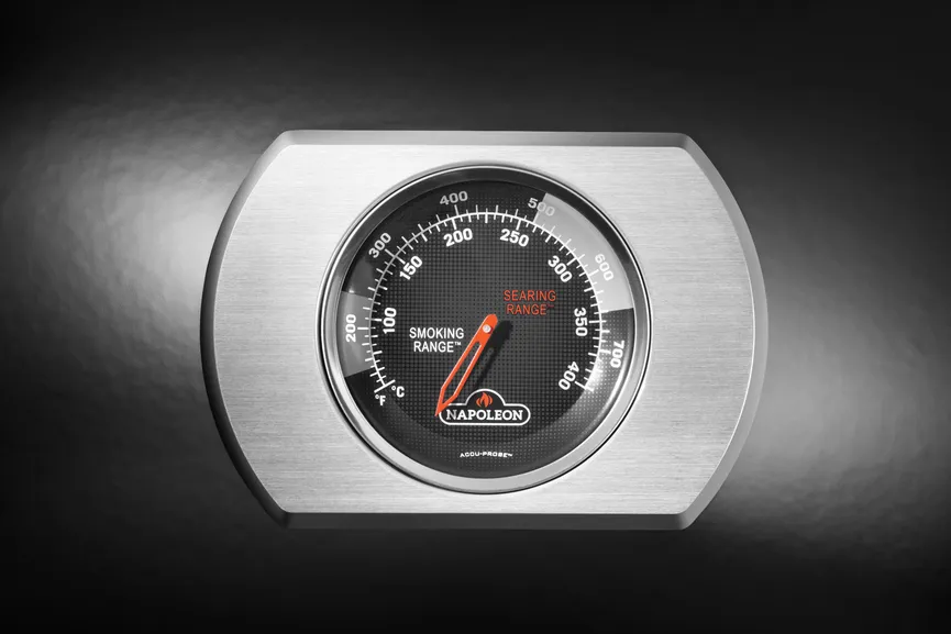 Rogue 425 m Heck-uSeitenbrenne detail