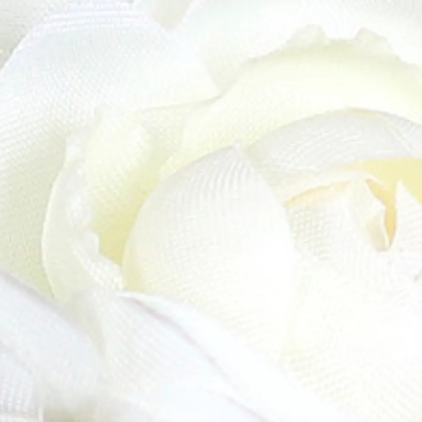 Ranunkel-Pick creme material_farbe