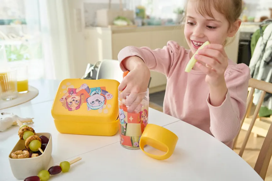 Lunchbox "Paw Patrol" milieu