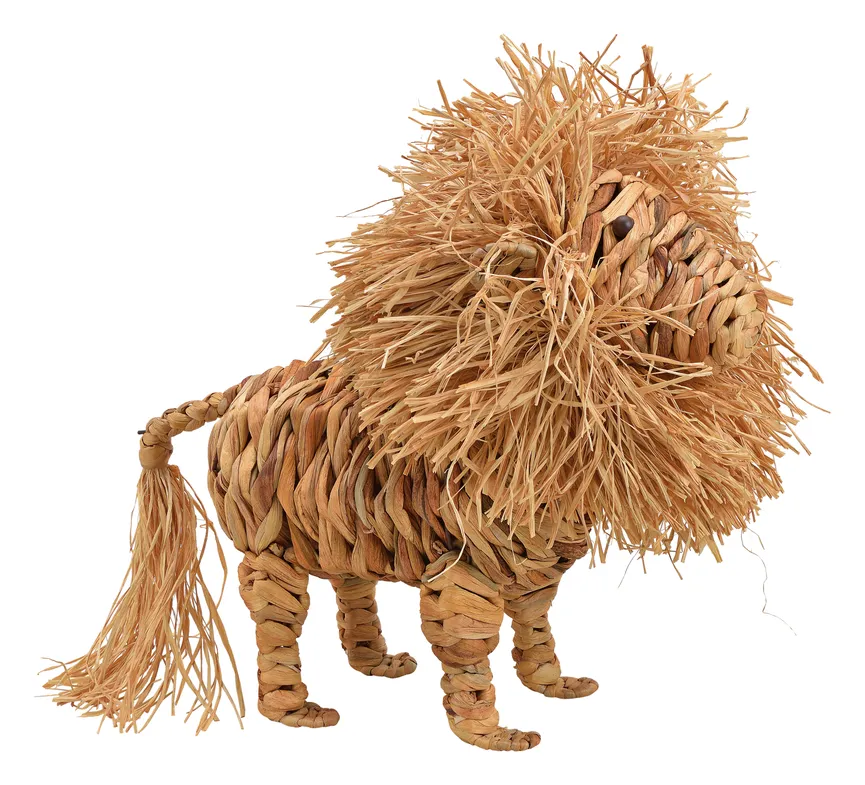 Löwe natur hauptaufnahme