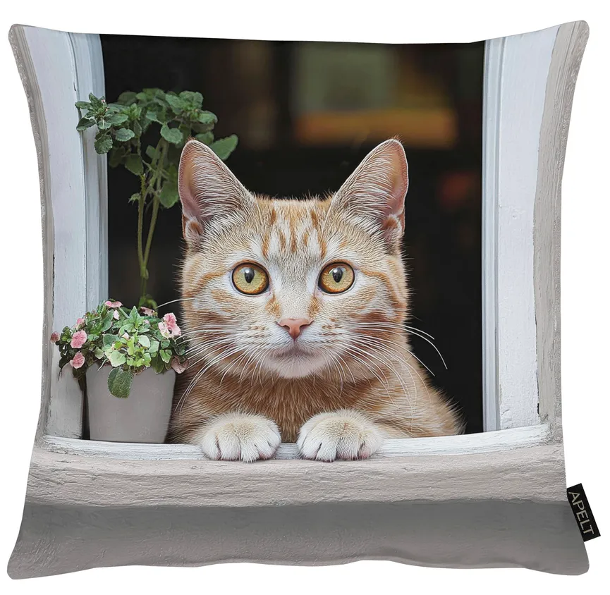 Kissen gef. Mimi hauptaufnahme