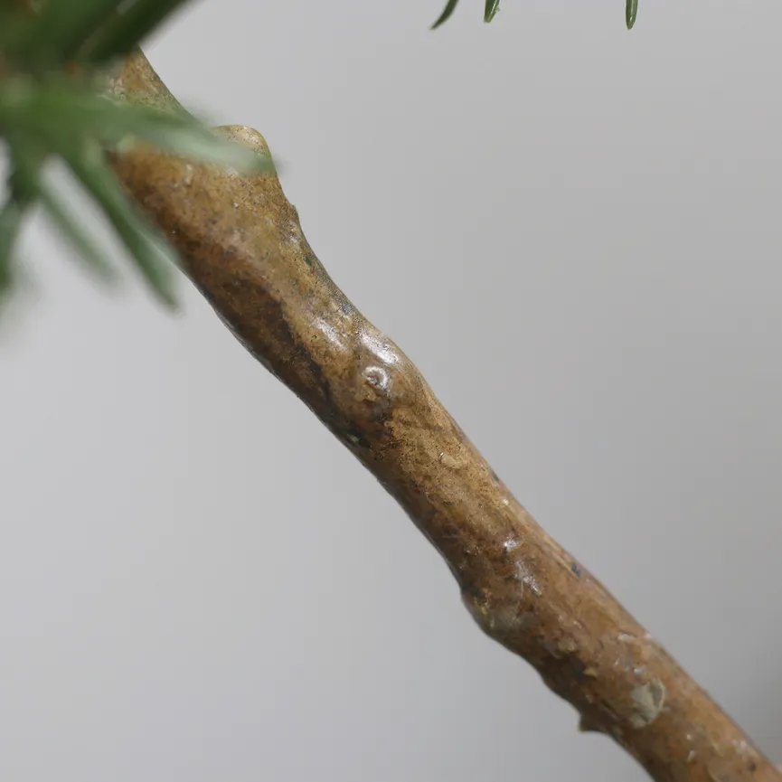 Rosmarin grün detail