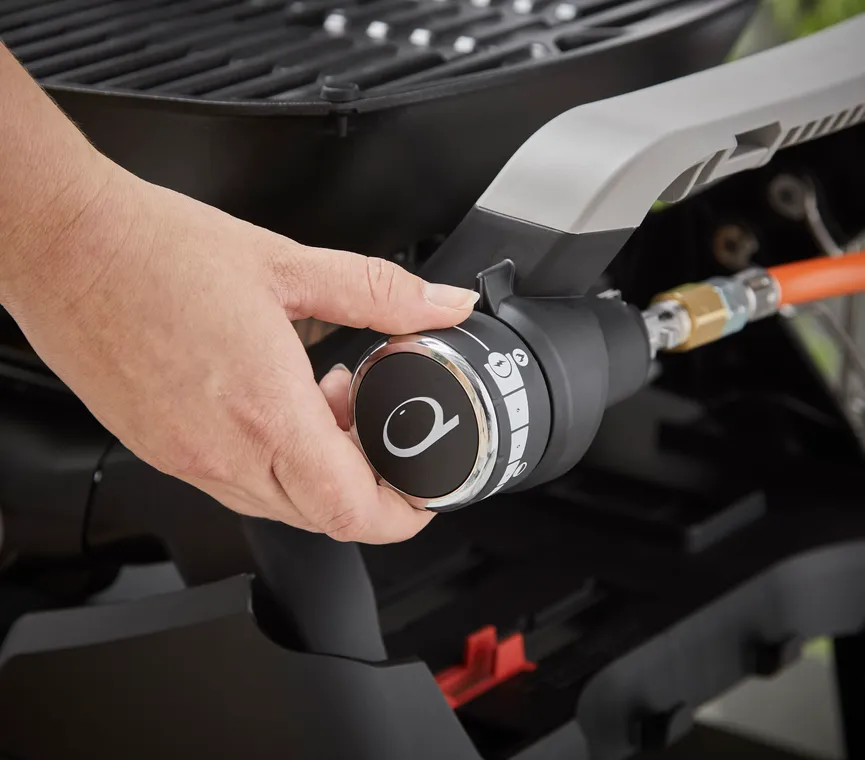 Weber Q1200N mit Stand detail