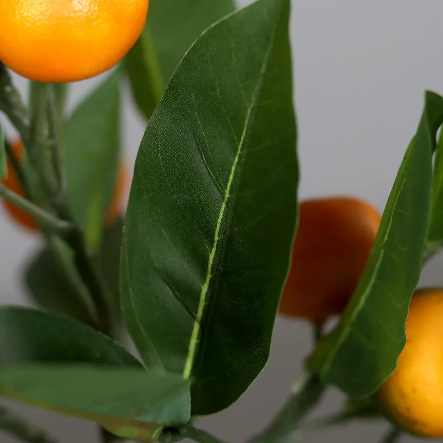 Mandarinenbaum detail