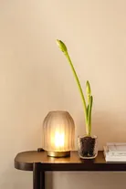 milieu