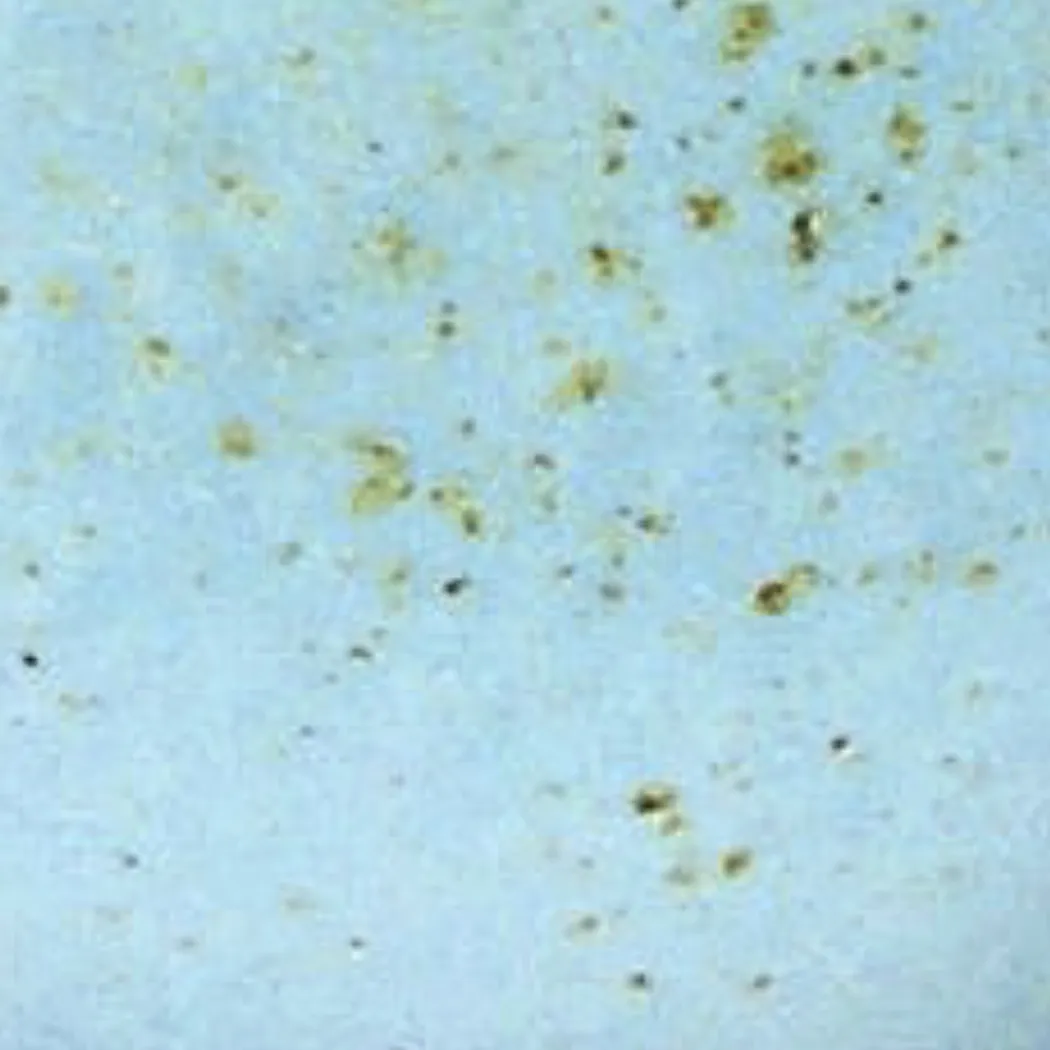 material_farbe