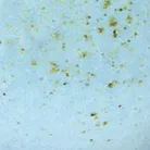 material_farbe