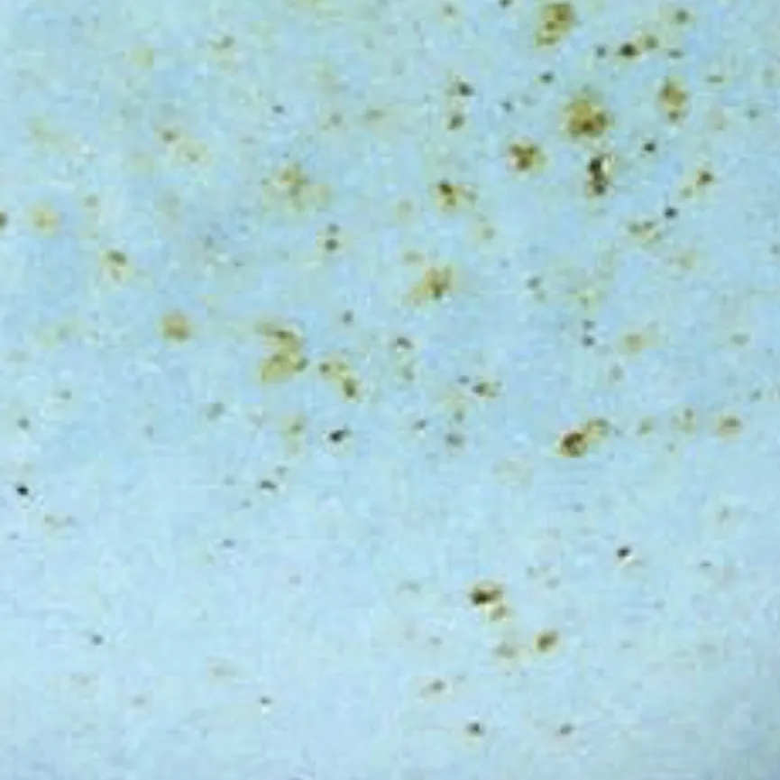 Kaffeeobertasse material_farbe