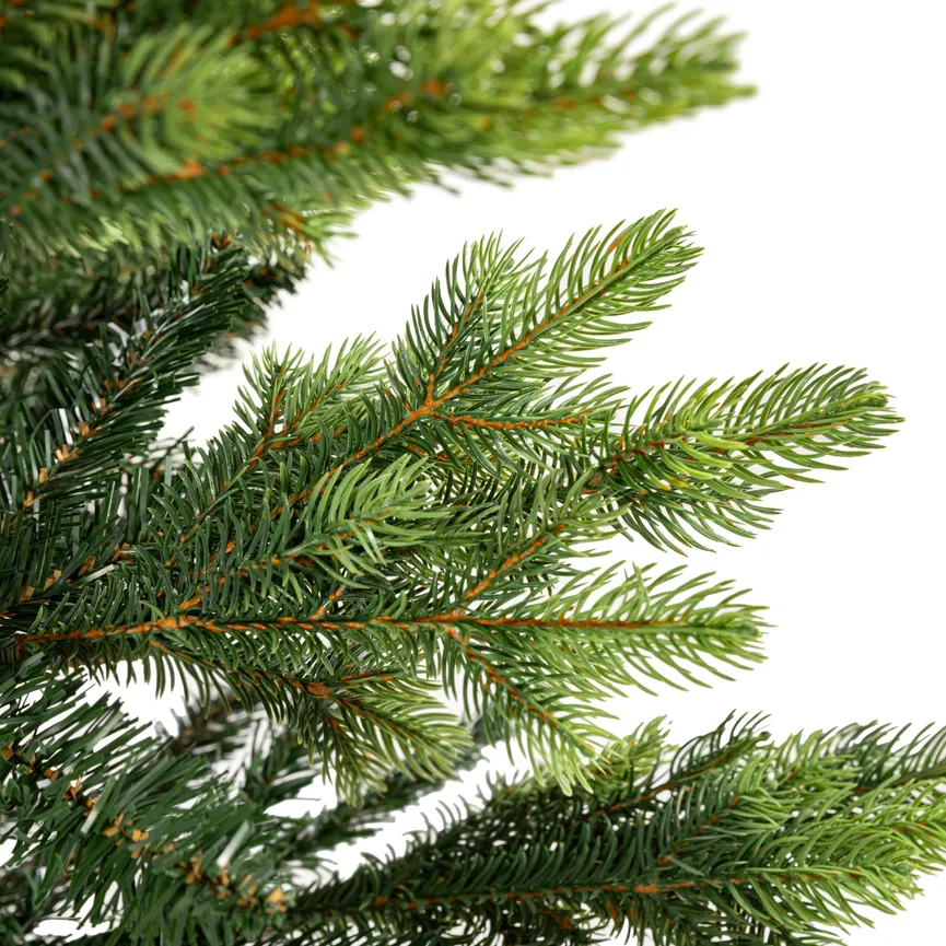 Tannenbaum M detail