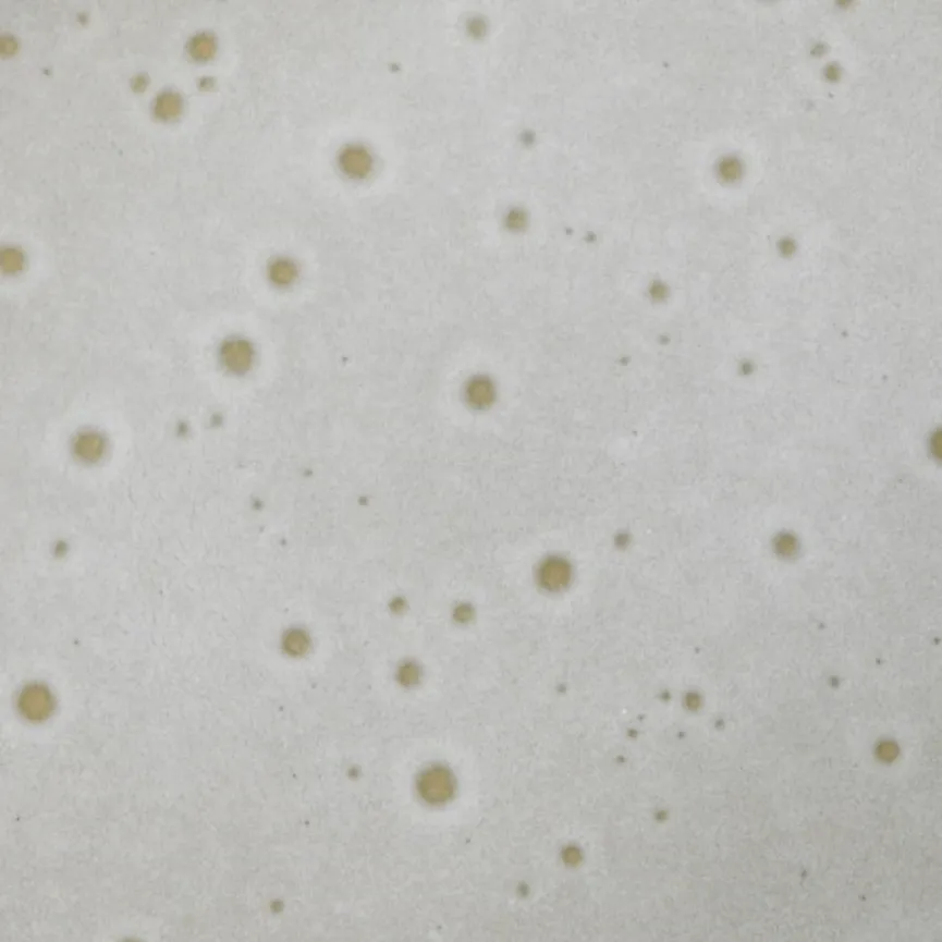 Kombi-Service "Sofia" 16-tlg. material_farbe