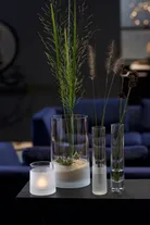 milieu