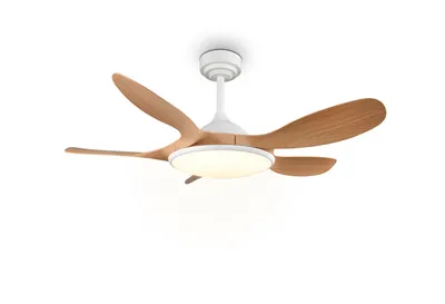 Deckenventilator