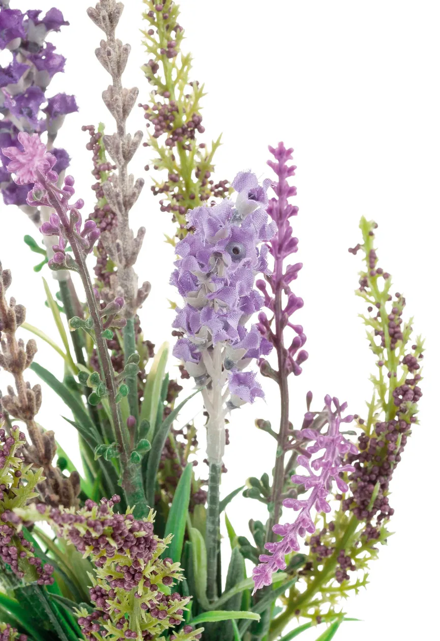 Lavendel-Astilbe-Bund lavendel detail