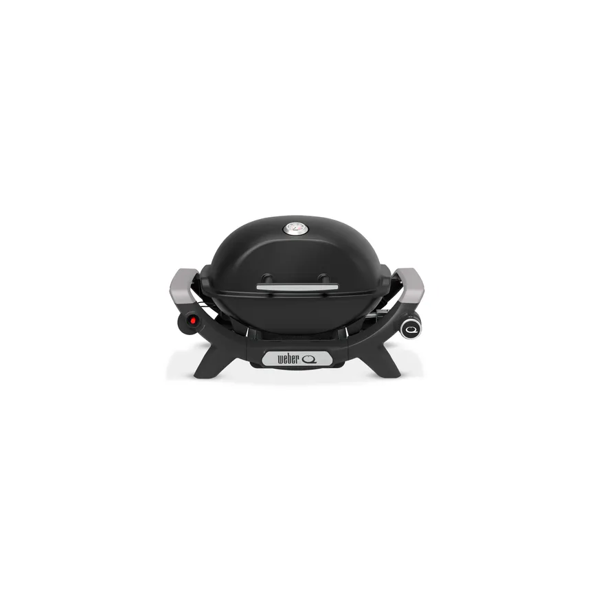 Weber Q2100N hauptaufnahme