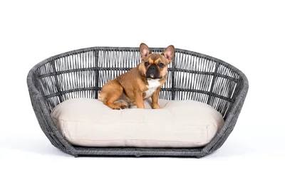 Hundesofa PRADO