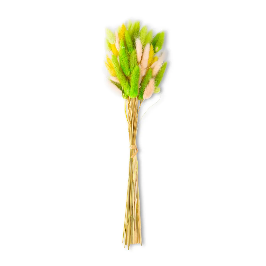 hauptaufnahme