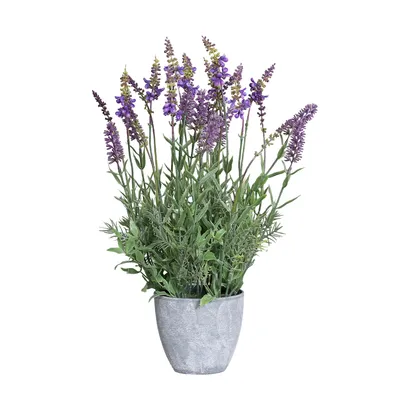 Kunstblume