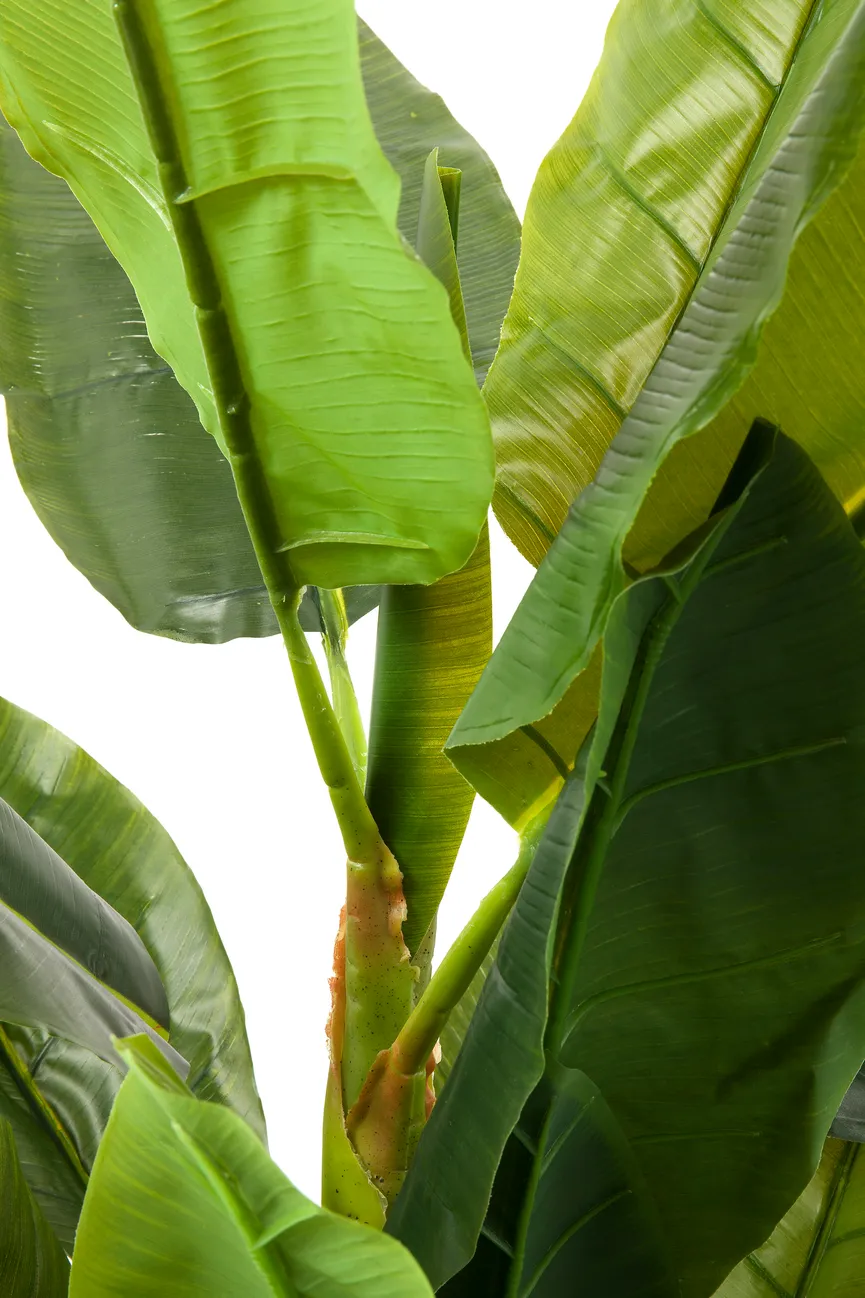 Deko Pflanze detail