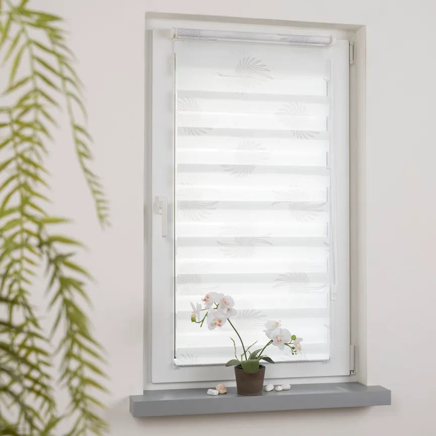 Duo Rollo Aster milieu