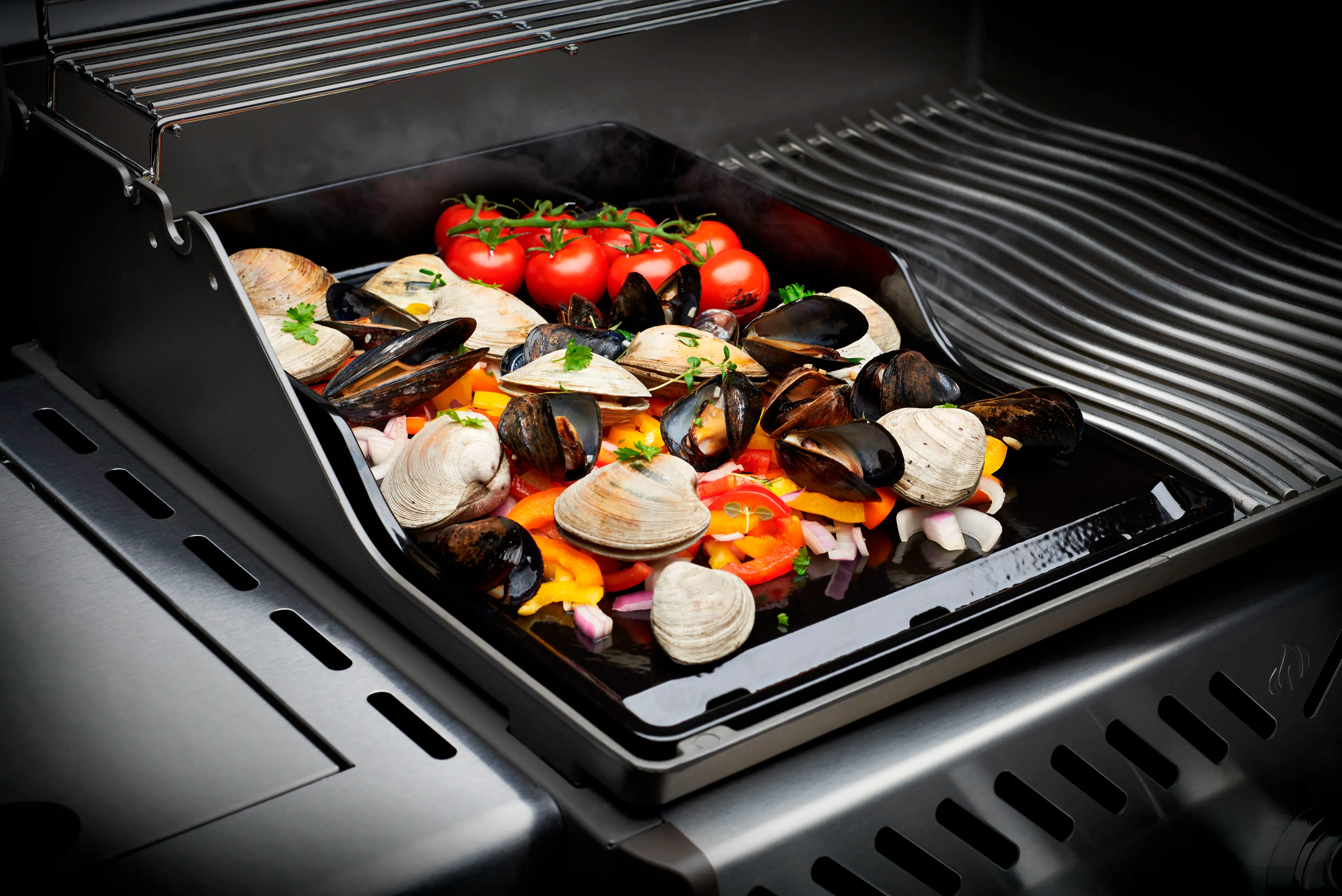 Plancha-Platte  Planche-Platte Rogue