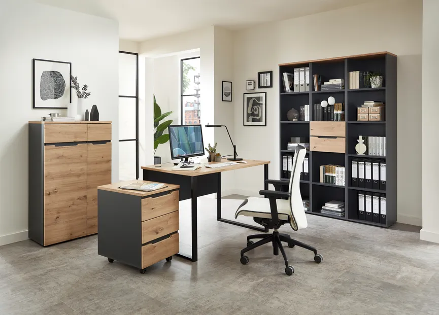 Büroschrank milieu
