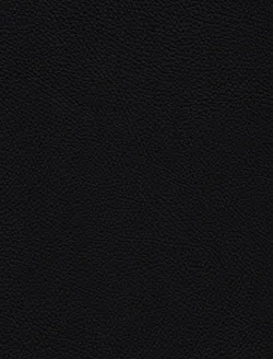 Schwarz material_farbe