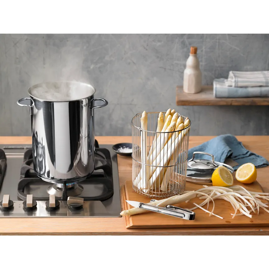 Spargeltopf 16 cm m.GD/Einsatz milieu