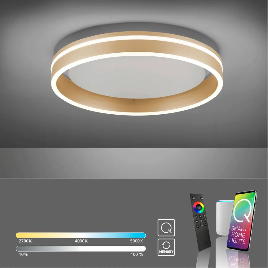 Deckenleuchte "Q-Vito" detail