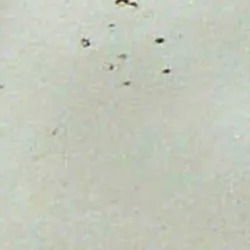 Stone material_farbe