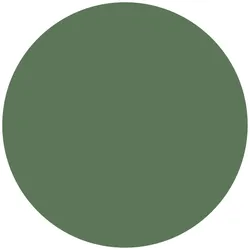 Olive Green material_farbe