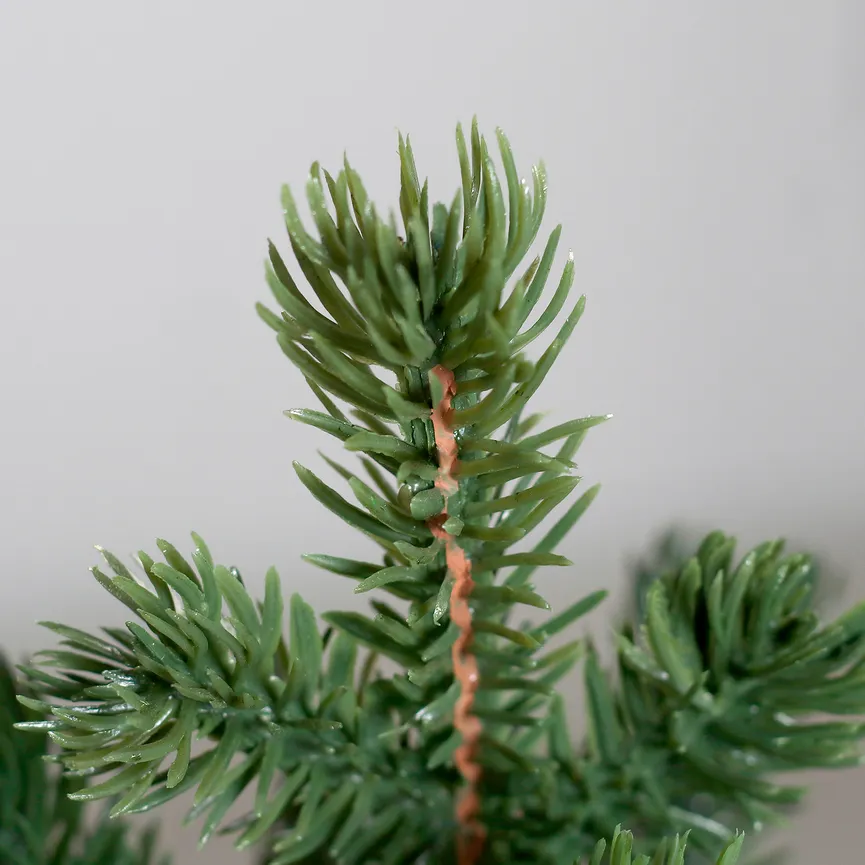 Tannenbaum S detail