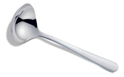 Saucenlöffel