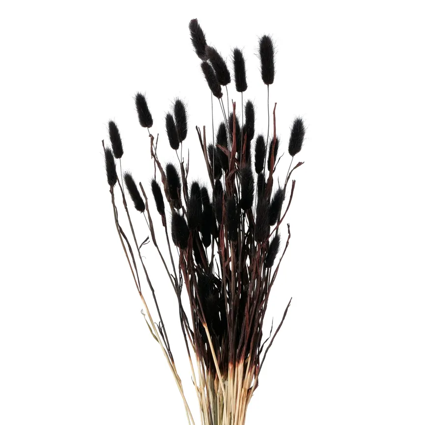 Samtgras weiß-schwarz detail