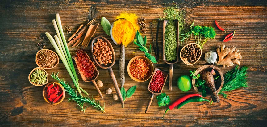 Küche - Herbs and Spices XIII hauptaufnahme